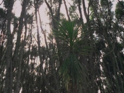 extant_HTLJ_3x07-TheGreenEyedMonster_00583