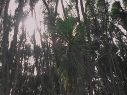 extant_HTLJ_3x07-TheGreenEyedMonster_00585