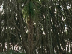 extant_HTLJ_3x07-TheGreenEyedMonster_00591