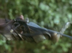 extant_HTLJ_3x07-TheGreenEyedMonster_01627
