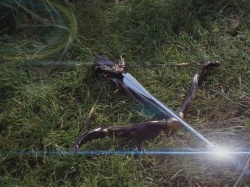 extant_HTLJ_3x07-TheGreenEyedMonster_01936
