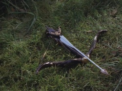 extant_HTLJ_3x07-TheGreenEyedMonster_01937