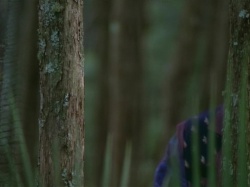 extant_HTLJ_3x07-TheGreenEyedMonster_03017