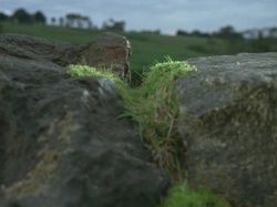 extant_HTLJ_3x07-TheGreenEyedMonster_03911