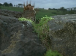 extant_HTLJ_3x07-TheGreenEyedMonster_03912