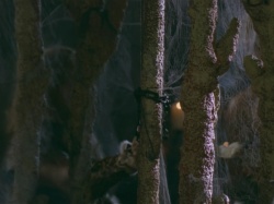 extant_HTLJ_3x07-TheGreenEyedMonster_03947