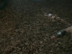 extant_HTLJ_3x07-TheGreenEyedMonster_04474