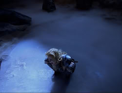extant_HTLJ_3x12-Surprise_0019