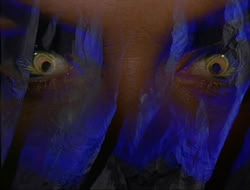 extant_HTLJ_3x12-Surprise_0052