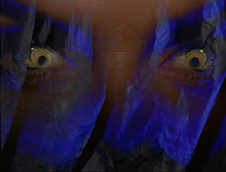 extant_HTLJ_3x12-Surprise_0069