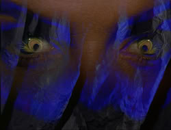 extant_HTLJ_3x12-Surprise_0095