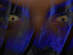 extant_HTLJ_3x12-Surprise_0099