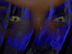 extant_HTLJ_3x12-Surprise_0144