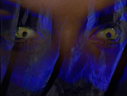 extant_HTLJ_3x12-Surprise_0146