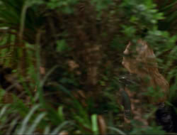 extant_HTLJ_3x12-Surprise_1220