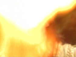 extant_HTLJ_3x12-Surprise_1746