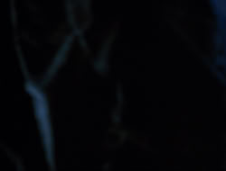 extant_HTLJ_3x12-Surprise_2467