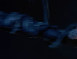 extant_HTLJ_3x12-Surprise_2755
