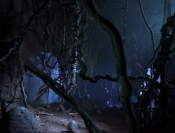 extant_HTLJ_3x12-Surprise_2776