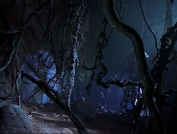 extant_HTLJ_3x12-Surprise_2777