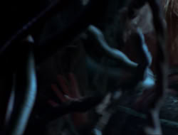 extant_HTLJ_3x12-Surprise_2789