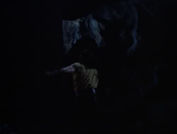 extant_HTLJ_3x12-Surprise_2829