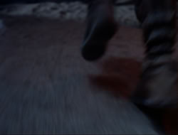 extant_HTLJ_3x12-Surprise_2855