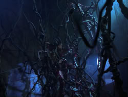 extant_HTLJ_3x12-Surprise_2928