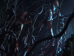 extant_HTLJ_3x12-Surprise_2933