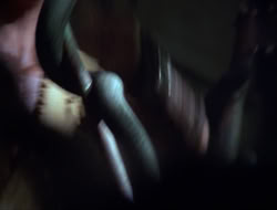 extant_HTLJ_3x12-Surprise_2938