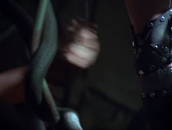 extant_HTLJ_3x12-Surprise_2939