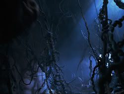 extant_HTLJ_3x12-Surprise_2967