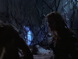 extant_HTLJ_3x12-Surprise_2982