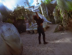 extant_HTLJ_3x12-Surprise_3003
