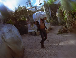 extant_HTLJ_3x12-Surprise_3004