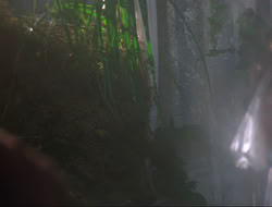 extant_HTLJ_3x12-Surprise_3013
