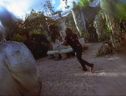 extant_HTLJ_3x12-Surprise_3019
