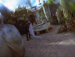 extant_HTLJ_3x12-Surprise_3022