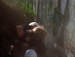 extant_HTLJ_3x12-Surprise_3025