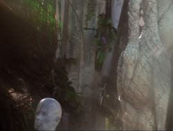 extant_HTLJ_3x12-Surprise_3026