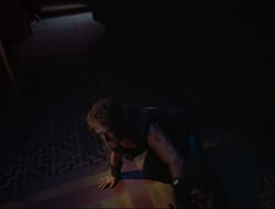 extant_HTLJ_3x12-Surprise_3195