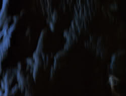 extant_HTLJ_3x12-Surprise_3454
