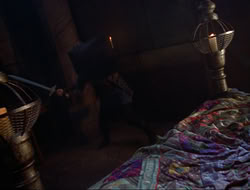 extant_HTLJ_3x12-Surprise_3569