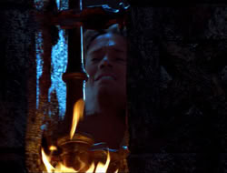 extant_HTLJ_3x12-Surprise_3664