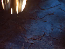 extant_HTLJ_3x12-Surprise_3666
