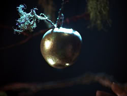 extant_HTLJ_3x12-Surprise_3864