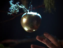 extant_HTLJ_3x12-Surprise_3865