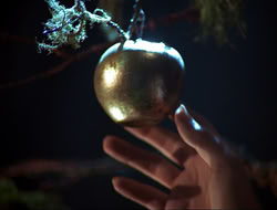 extant_HTLJ_3x12-Surprise_3866
