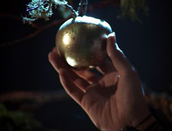 extant_HTLJ_3x12-Surprise_3867