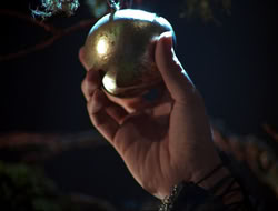 extant_HTLJ_3x12-Surprise_3868